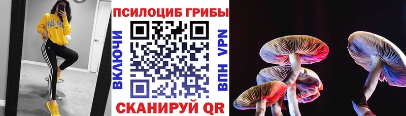 наркошоп  OMG онион  Галлюциногенные грибы Cubensis  Новоалександровск 