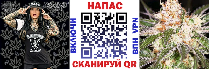 что такое наркотик  Новоалександровск  Канабис индика 
